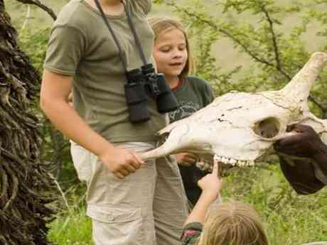 Natal Safari & Beach Family Holiday
